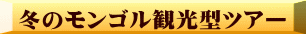 冬のモンゴル観光型ツアー 