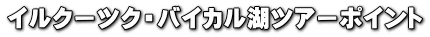 �C���N�[�c�N�E�o�C�J���΃c�A�[�|�C���g