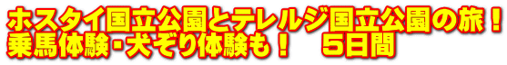 ホスタイ国立公園とテレルジ国立公園の旅！ 乗馬体験・犬ぞり体験も！　5日間